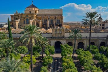 Córdoba-dagtour vanuit Sevilla